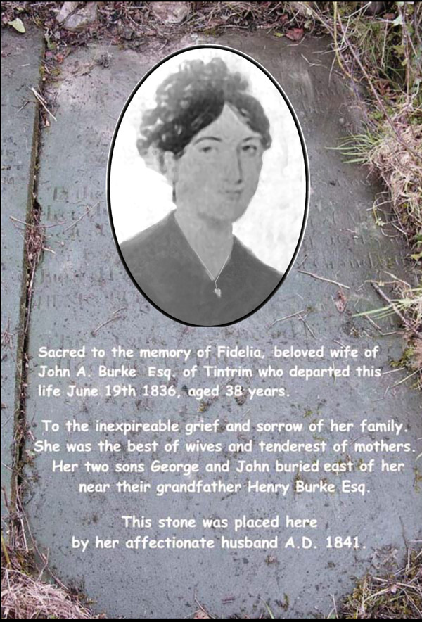 Fidelia Burke, Tintrim