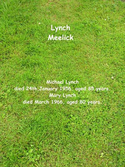 Lynch, Meelick