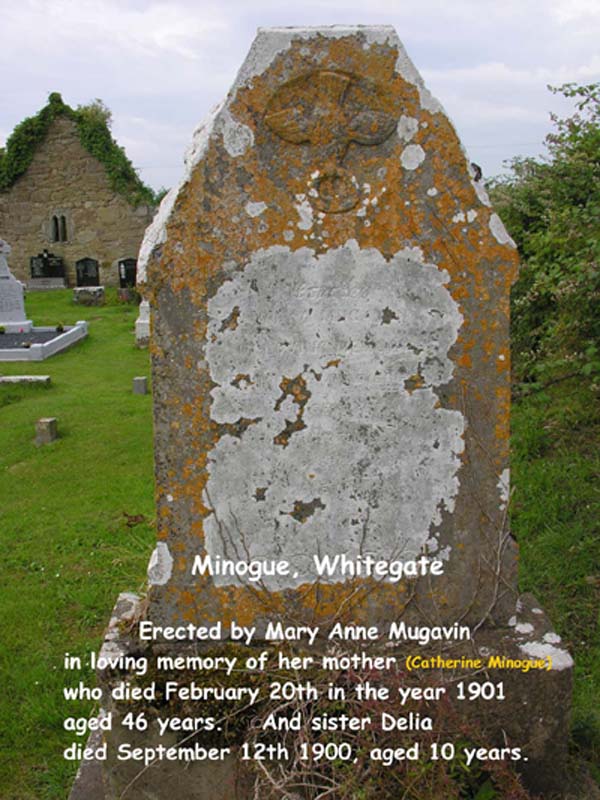 Minogue, Whitegate
